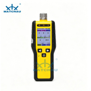 Five in One Portable Gas Decector